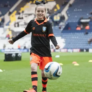Battle at Deepdale: SkyBet Championship Clash - Preston North End vs Sheffield Wednesday (December 31, 2016) Battle at Deepdale: SkyBet Championship Clash - Preston North End vs Sheffield Wednesday (December 31, 2016)