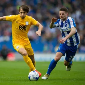 Championship Showdown: Brighton & Hove Albion vs. Preston North End - October 15, 2016 Championship Showdown: Brighton & Hove Albion vs. Preston North End - October 15, 2016