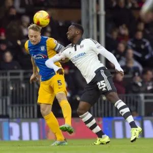 SkyBet Championship Clash: Fulham vs. Preston North End (November 28, 2015) SkyBet Championship Clash: Fulham vs. Preston North End (November 28, 2015)