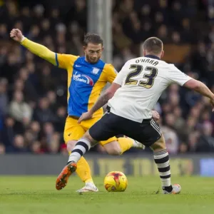 SkyBet Championship Clash: Fulham vs. Preston North End (November 28, 2015) SkyBet Championship Clash: Fulham vs. Preston North End (November 28, 2015)