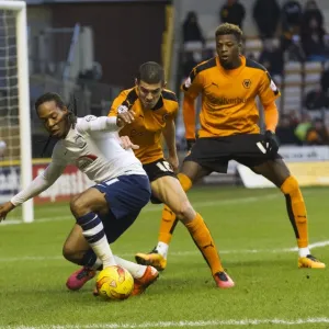 SkyBet Championship Showdown: Wolves vs. Preston North End - February 13, 2016 SkyBet Championship Showdown: Wolves vs. Preston North End - February 13, 2016